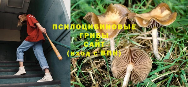 героин Аркадак