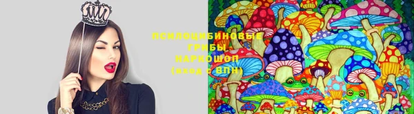 героин Аркадак