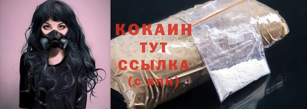 дживик Арсеньев