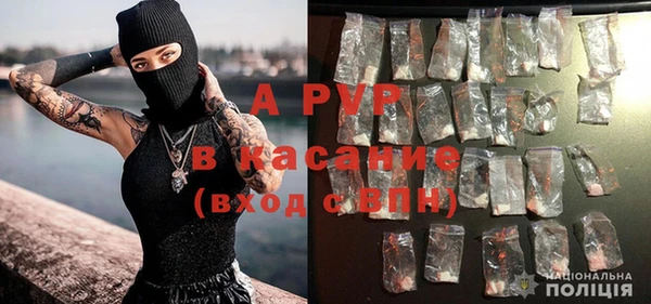 дживик Арсеньев