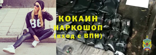 дживик Арсеньев