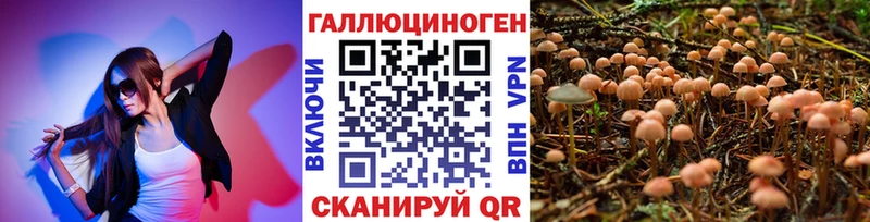 Галлюциногенные грибы Psilocybine cubensis  продажа наркотиков  Балей 